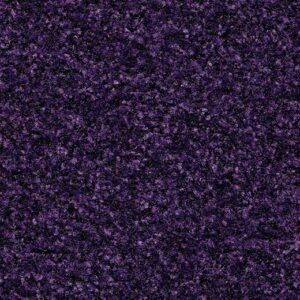 Cleartex Aktiv 5709 royal purple
